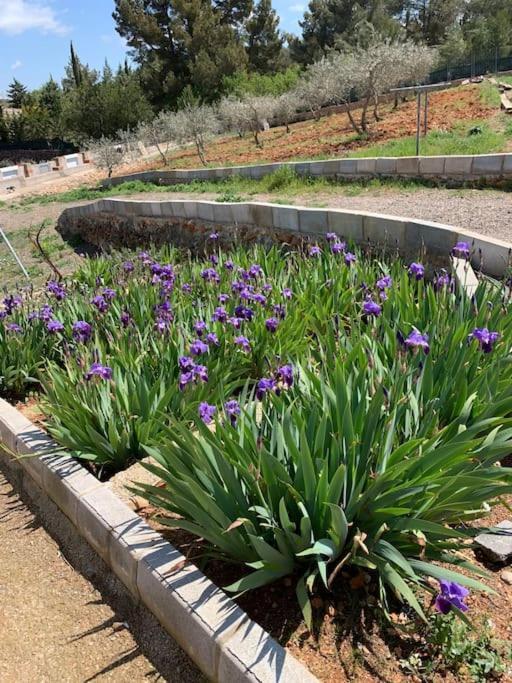 El-Cortijo Villa Siete Aguas Екстериор снимка