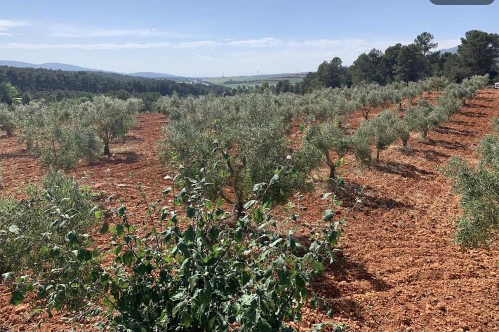 El-Cortijo Villa Siete Aguas Екстериор снимка