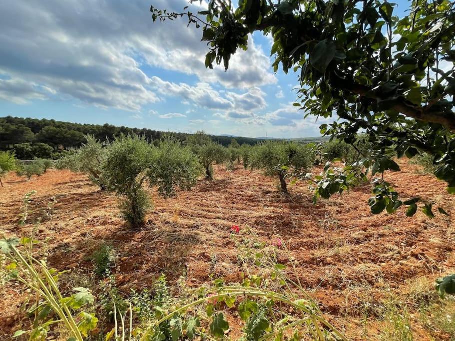 El-Cortijo Villa Siete Aguas Екстериор снимка
